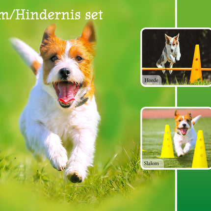 Agility-Slalom- und Hindernis-Set 4Xpylon