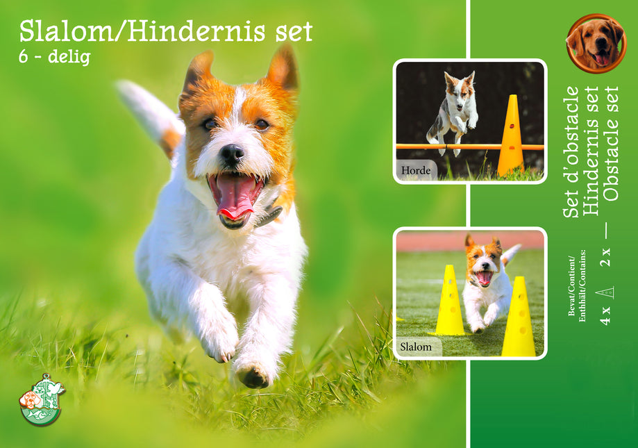 Agility-Slalom- und Hindernis-Set 4Xpylon