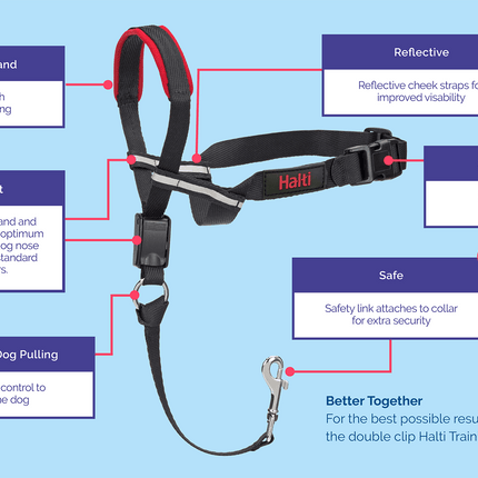 Halti Optifit Schwarz Groß