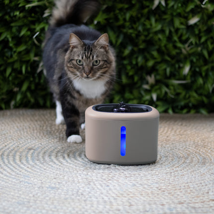 Boon Trinkbrunnen Aquabella 2,5 Liter