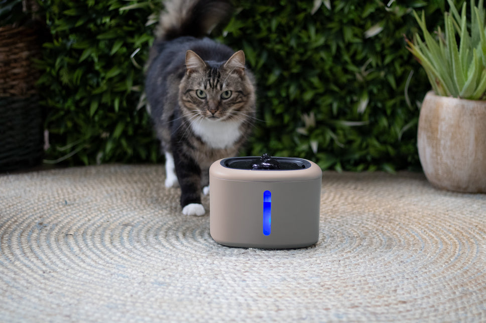 Boon Trinkbrunnen Aquabella 2,5 Liter