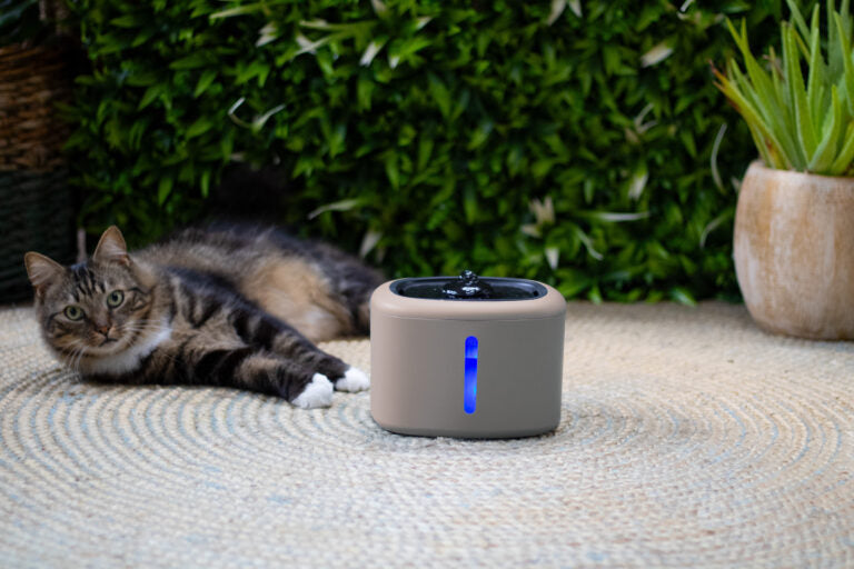 Boon Trinkbrunnen Aquabella 2,5 Liter