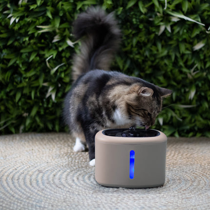 Boon Trinkbrunnen Aquabella 2,5 Liter