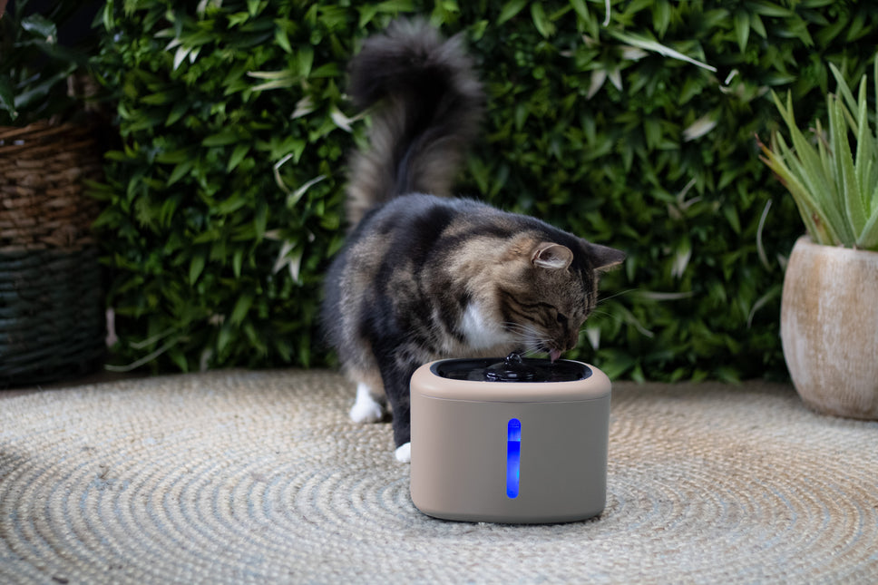 Boon Trinkbrunnen Aquabella 2,5 Liter