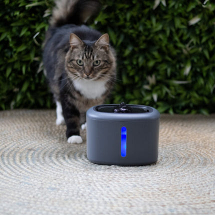 Boon Trinkbrunnen Aquabella 2,5 Liter