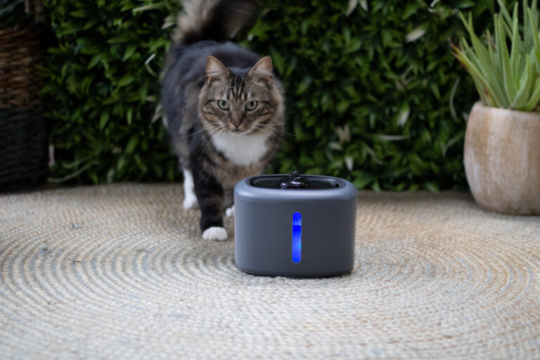 Boon Trinkbrunnen Aquabella 2,5 Liter