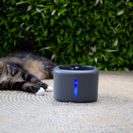 Boon Trinkbrunnen Aquabella 2,5 Liter