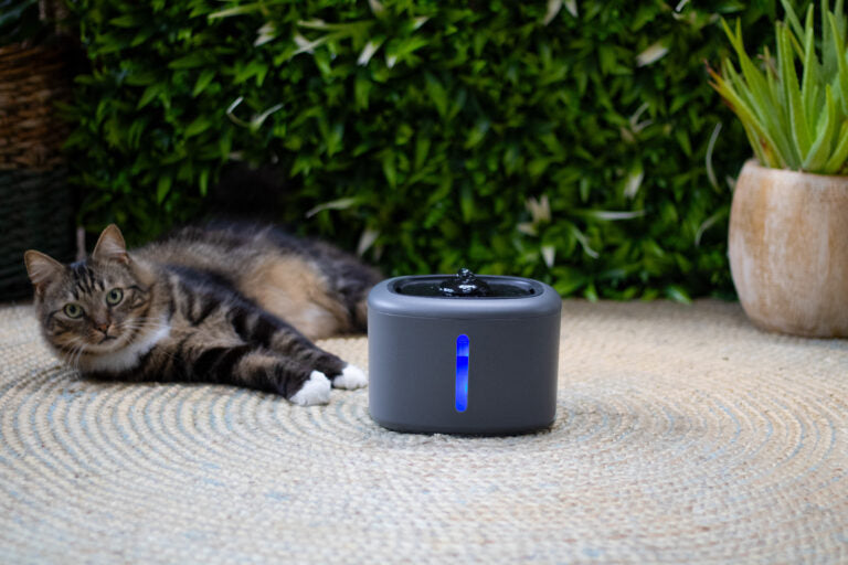 Boon Trinkbrunnen Aquabella 2,5 Liter