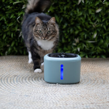 Boon Trinkbrunnen Aquabella 2,5 Liter