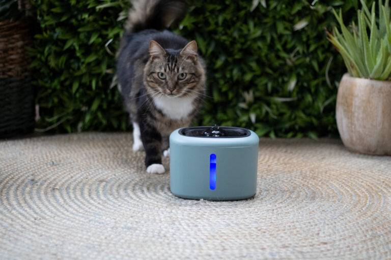 Boon Trinkbrunnen Aquabella 2,5 Liter