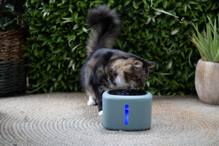 Boon Trinkbrunnen Aquabella 2,5 Liter