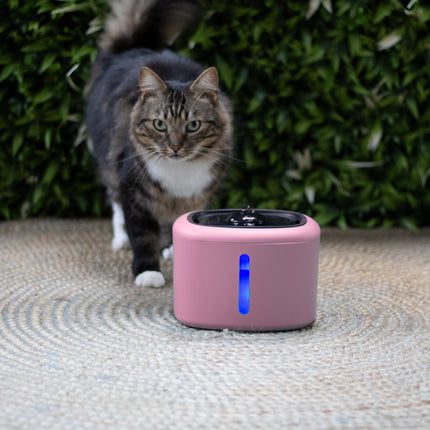 Boon Trinkbrunnen Aquabella 2,5 Liter