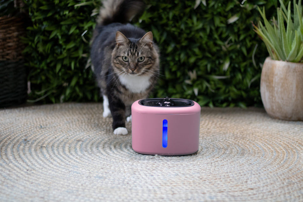 Boon Trinkbrunnen Aquabella 2,5 Liter