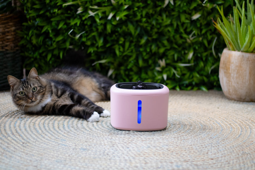 Boon Trinkbrunnen Aquabella 2,5 Liter