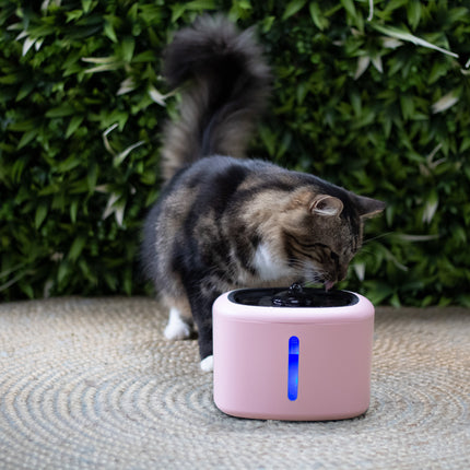 Boon Trinkbrunnen Aquabella 2,5 Liter