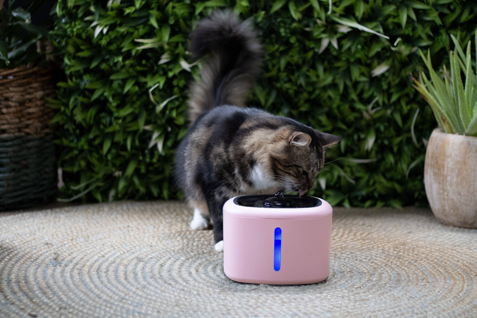 Boon Trinkbrunnen Aquabella 2,5 Liter