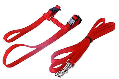 AnimalstoreXL Boon Kattentuig Nylon met Lijn Rood