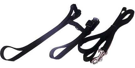 AnimalstoreXL Boon Kattentuig Nylon met Lijn Zwart