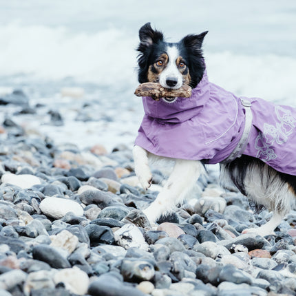 Hurtta Hundemantel Drizzle Coat Johannisbeere