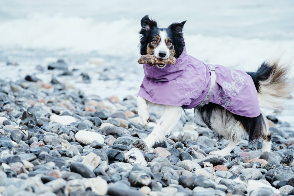 Hurtta Hundemantel Drizzle Coat Johannisbeere