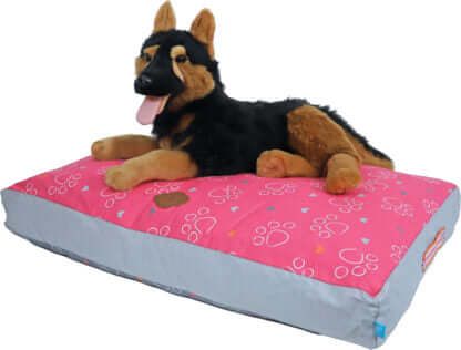 AnimalstoreXL Lief! Loungekussen 2-Zijdig Girls 85x60cm