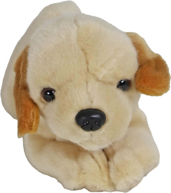 AnimalstoreXL Boony Labrador Pluche Liggend Blond 20cm
