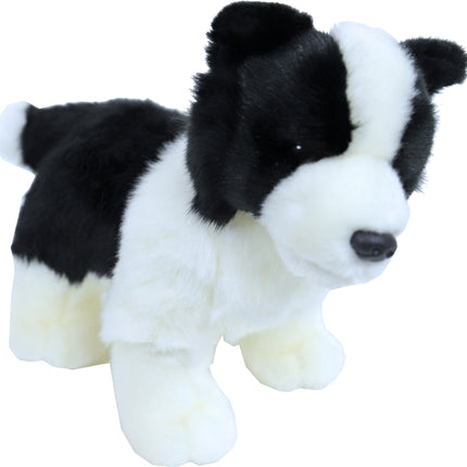 AnimalstoreXL Boony Collie Pluche 20cm