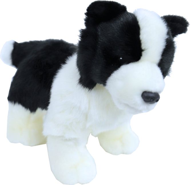 AnimalstoreXL Boony Collie Pluche 20cm