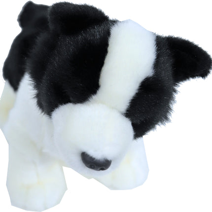 AnimalstoreXL Boony Collie Pluche 20cm
