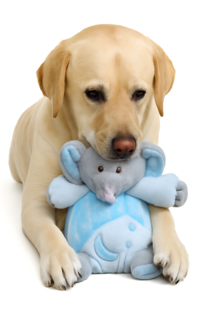 Boon Olifant Plüsch mit Quietscher 15cm