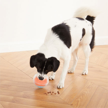 Nina Ottosson Hondenspel Dog Rumble Puzzle