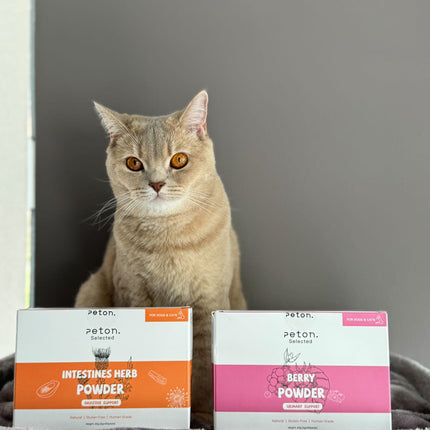 Peton - Vitaminpulver Kräuter Verdauung Katze/Hund