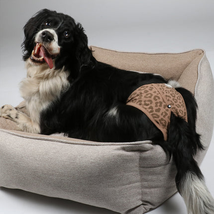 AnimalstoreXL Ebi Hondenbroekje Bruin L 40-49cm 2st