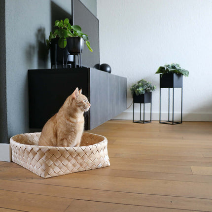 AnimalstoreXL D&D Home - Bodhi Mand 52x52x15cm - Wit