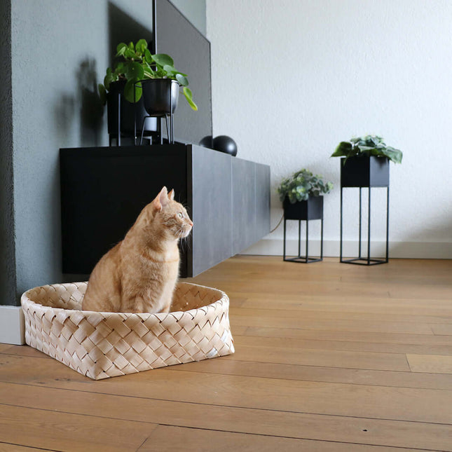 AnimalstoreXL D&D Home - Bodhi Mand 52x52x15cm - Wit