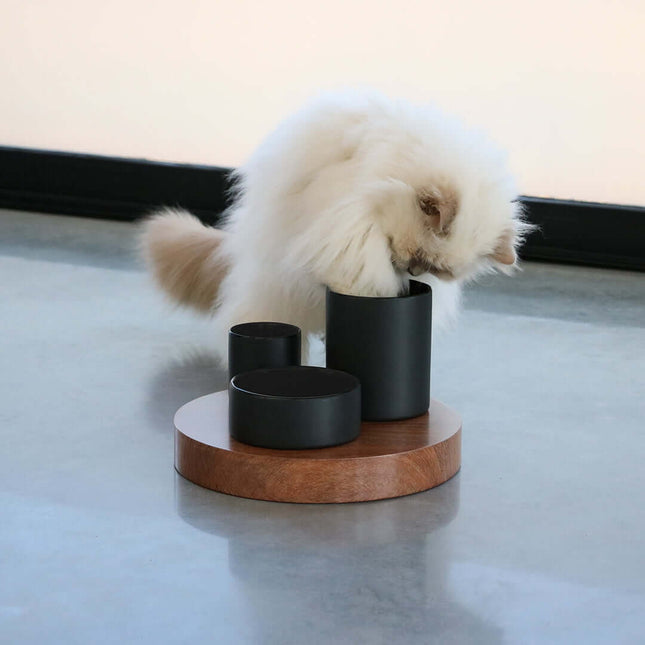 AnimalstoreXL D&D Home Iggy Verrijkingskom met 3 Niveaus 240-500-800ml 27x27x19cm Zwart