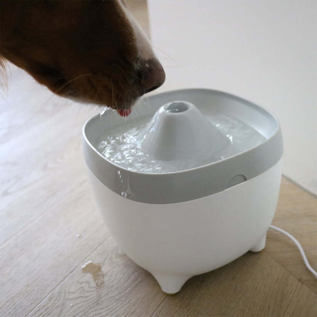 AnimalstoreXL Ebi Yuna Drinkfontein 2L 19,5x19,5x17cm Wit/Grijs