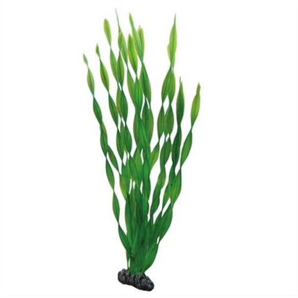 Pflanze Vallisneria 46cm