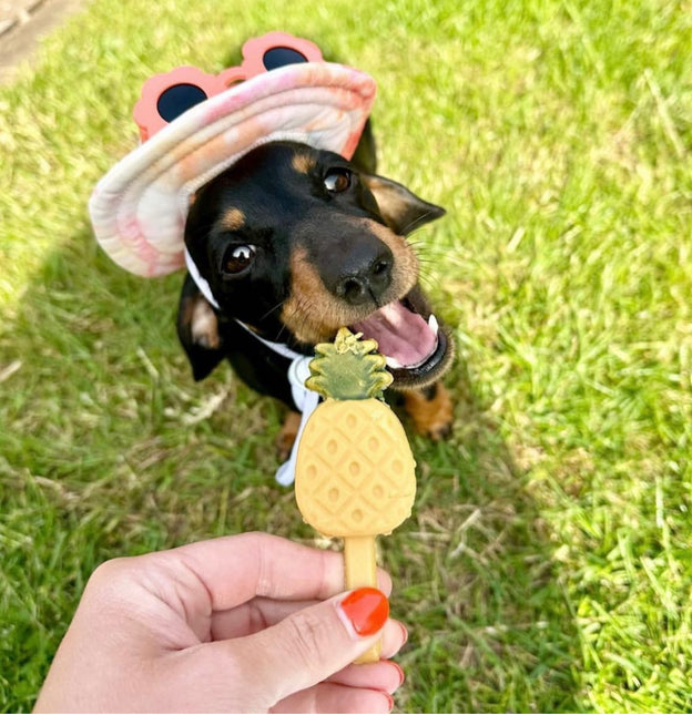 Pup ice - Hondenijsjes 🍦