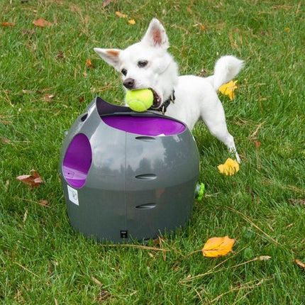 Automatischer Ballwerfer von Petsafe