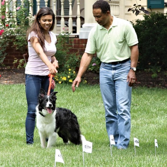 Petsafe Draht 150 Meter mit 50 Flaggen