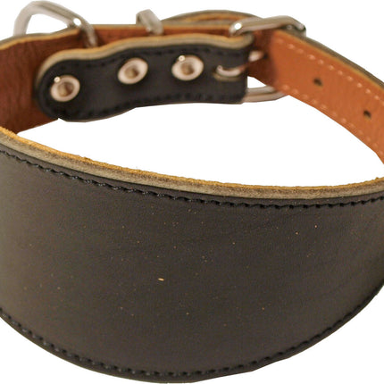 Bean Collar Whippet gefüttert dunkelbraun