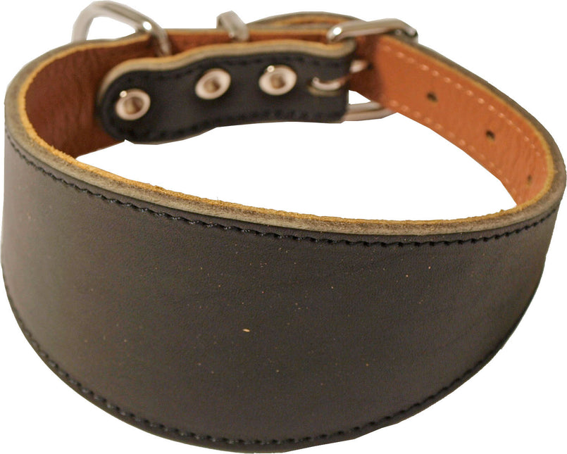 Bean Collar Whippet gefüttert dunkelbraun