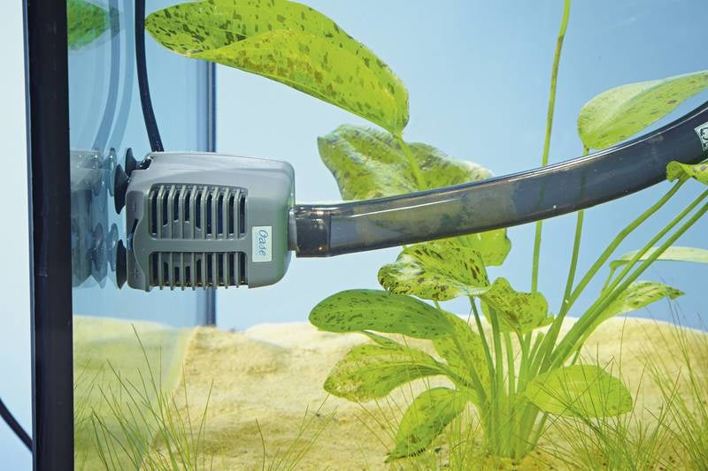 AnimalstoreXL Aqua In-Out Set 800