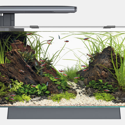 AnimalstoreXL Aquarium Quadro 70 Pro Zwart
