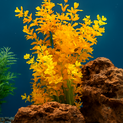 Aquascape Dragon Felsen 3 kg