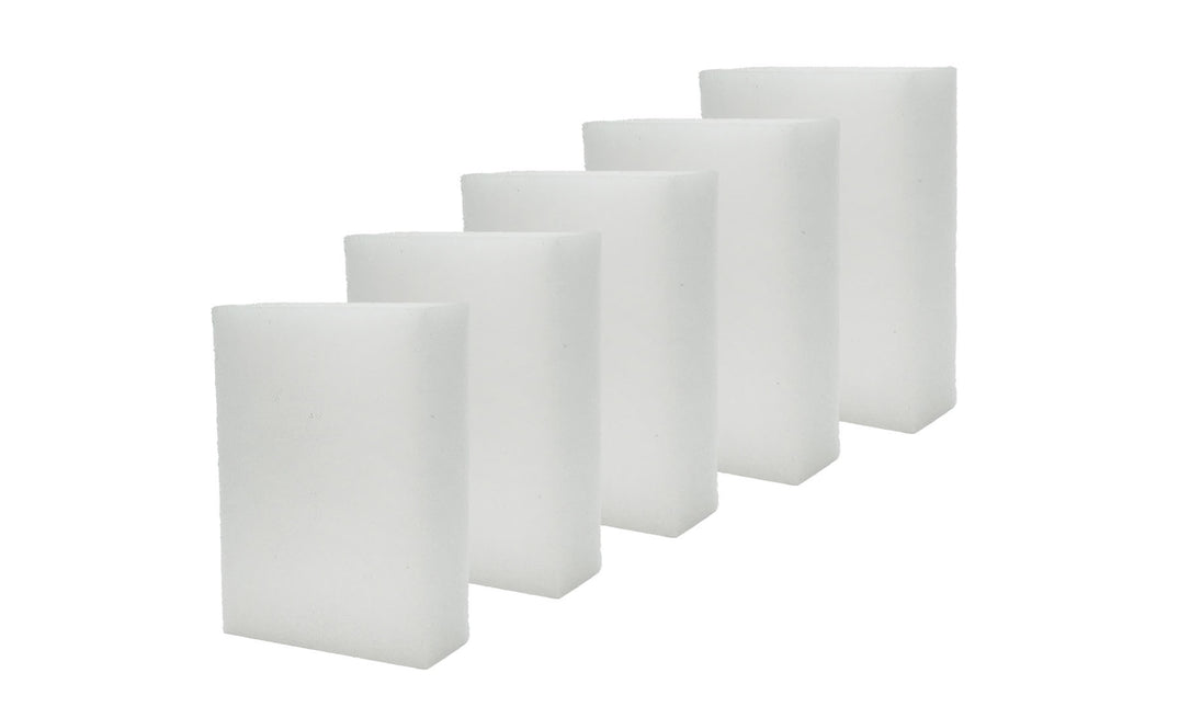 AnimalstoreXL AquastoreXL Algenspons 5 stuks