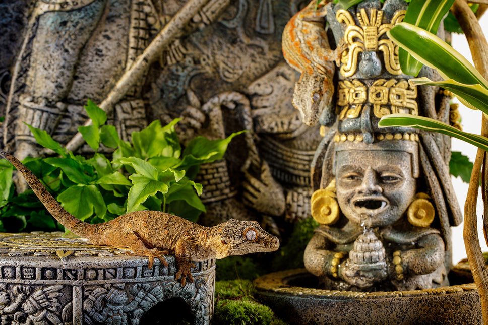 AnimalstoreXL Azteekse Waterval