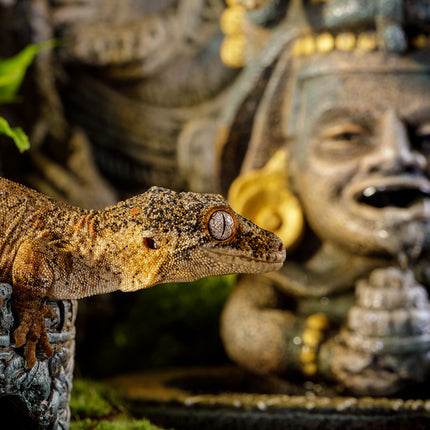 AnimalstoreXL Azteekse Waterval