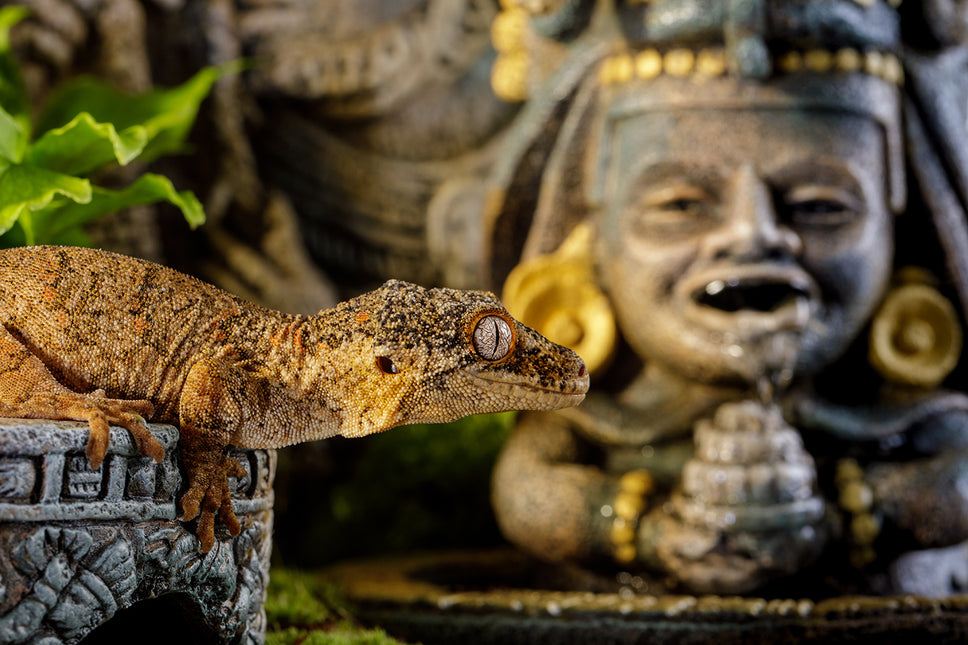 AnimalstoreXL Azteekse Waterval